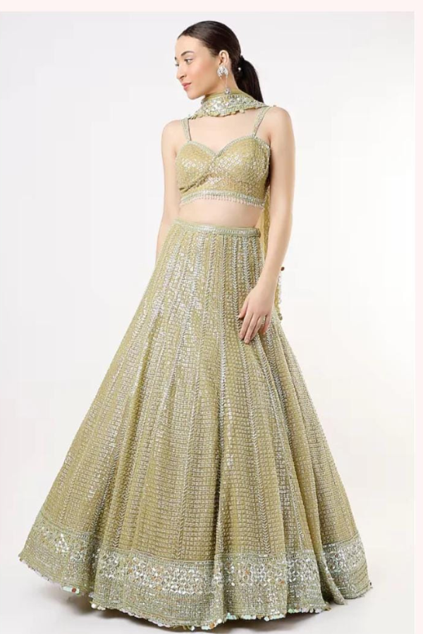 Lime Net Embroidered lehenga set