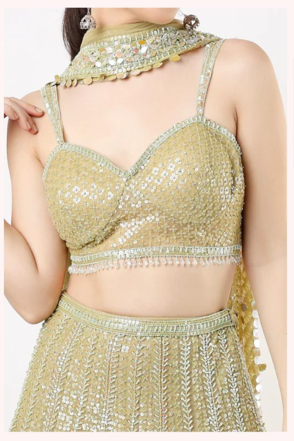 Lime Net Embroidered lehenga set