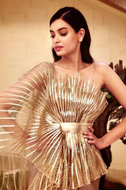 Gold metallic indo western gown