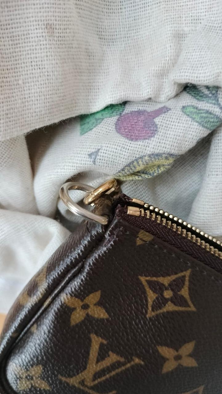 Louis Vuitton Mini Pochette Accessoires