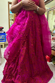 Anushree Reddy Pink embroidered lehenga