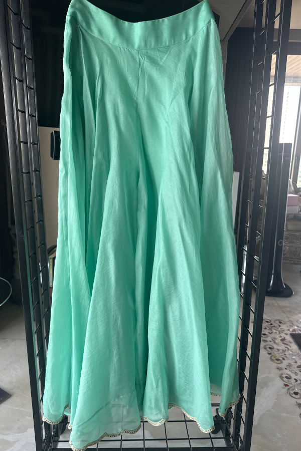 petticoat lane Mint Green Organza Sharara Set