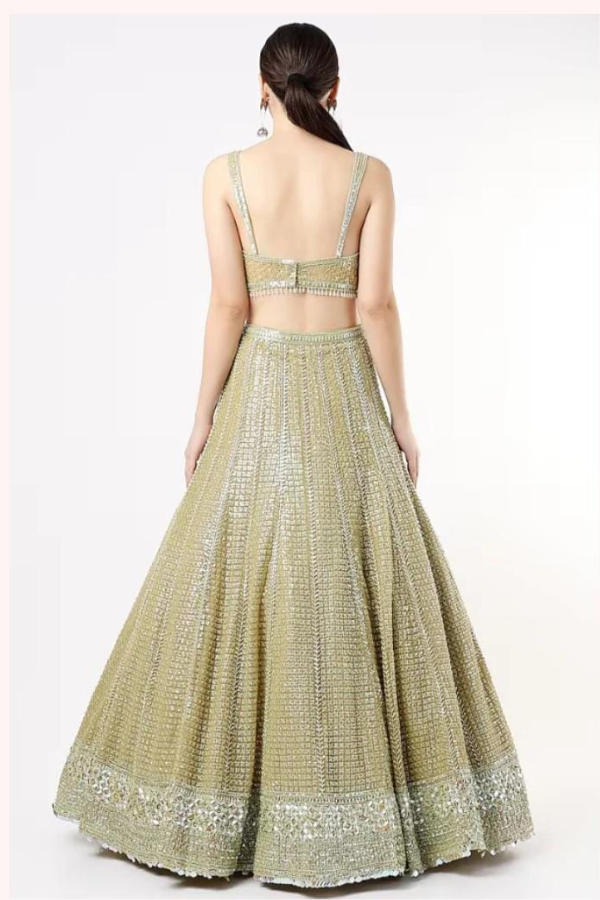 Lime Net Embroidered lehenga set