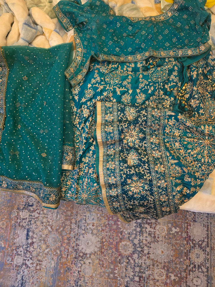 Ritu Kumar Emerald Usbeg Ari Lehenga Set