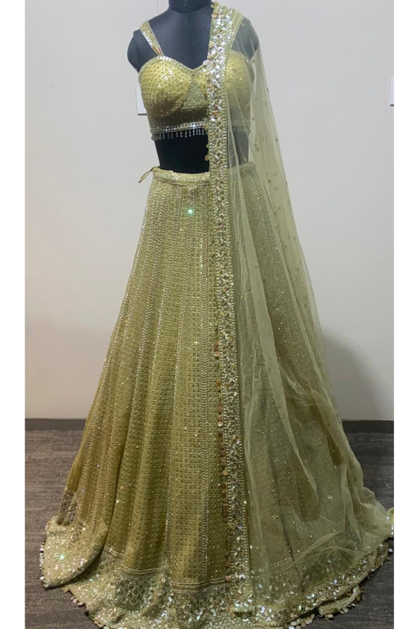 Lime Net Embroidered lehenga set