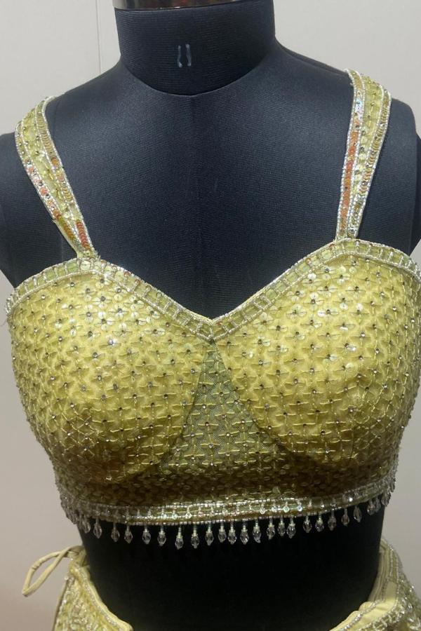 Lime Net Embroidered lehenga set