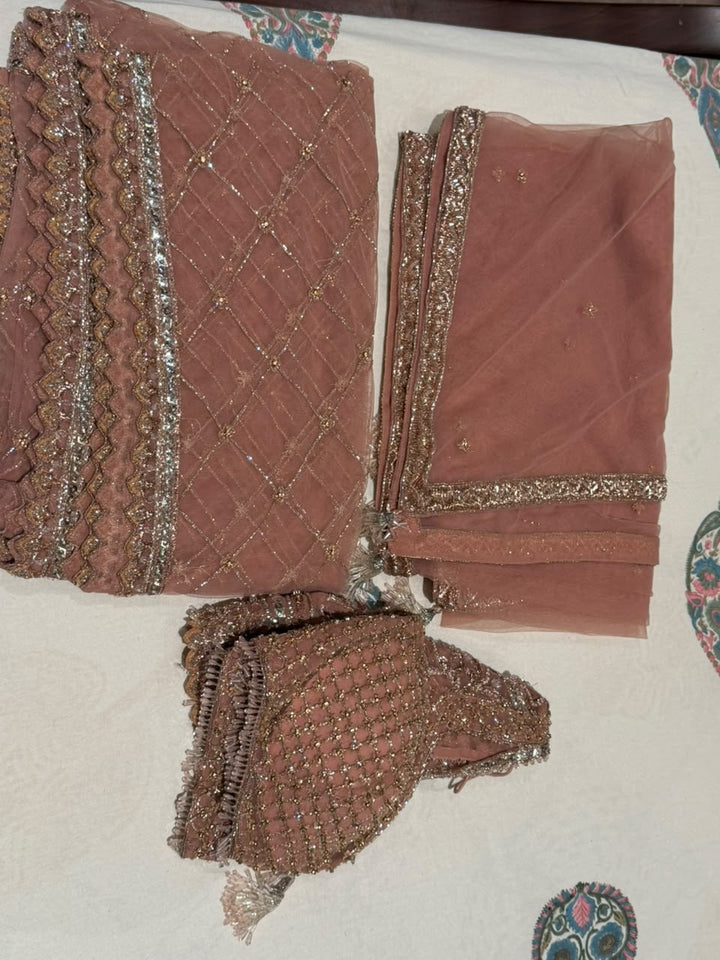 Payal Keyal Embellished Blush Pink Lehenga