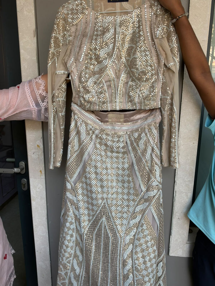 Pankaj & Nidhi Crop Top & Skirt Set