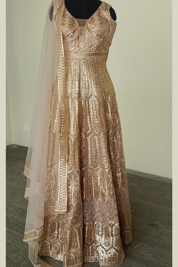 POONAM AND PRIYANKA GOLDEN GOWN