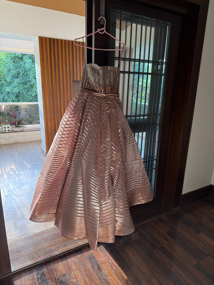 Amit Aggarwal Metallic Pleated Gown
