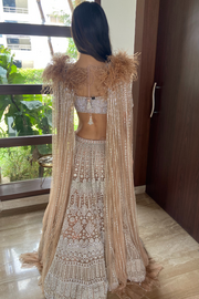 Falguni Shane peacock beige lehenga