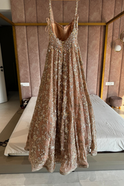 ANUSHREE REDDY Pink Organza Embroidered Gown