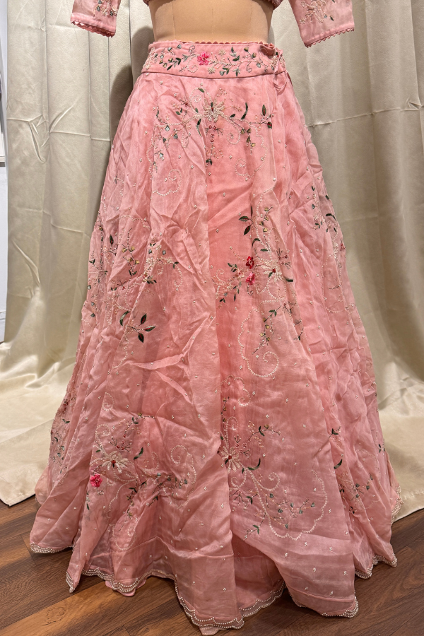 Anushree Reddy pink embroidered lehenga set