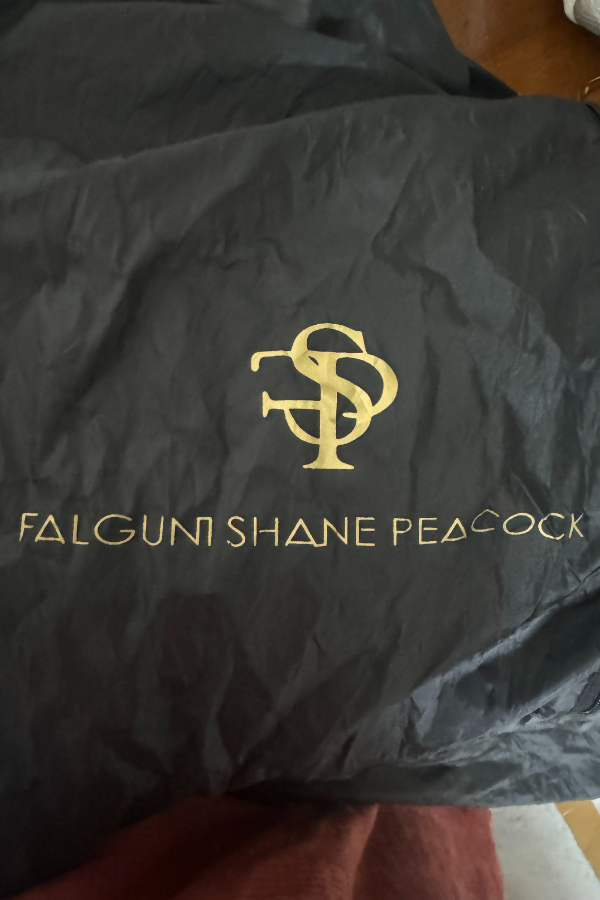 Falguni Shane Peacock emebllished saree gown
