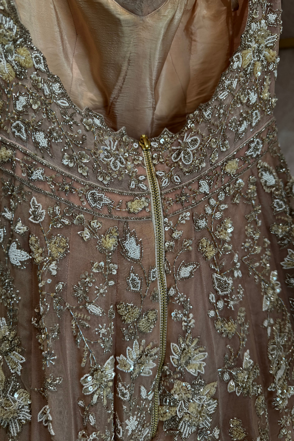 ANUSHREE REDDY Pink Organza Embroidered Gown