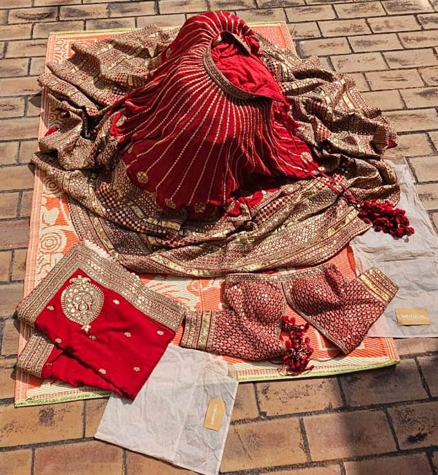 Sabyasachi Red & Gold Banarasi Lehenga Set