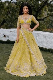 ANUSHREE REDDY Yellow Embroidered Lehenga Set