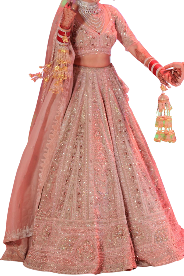 Payal Keyal Blush Pink Embellished Lehenga Set