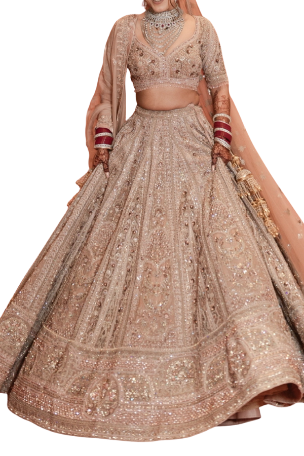 Payal Keyal Blush Pink Embellished Lehenga Set