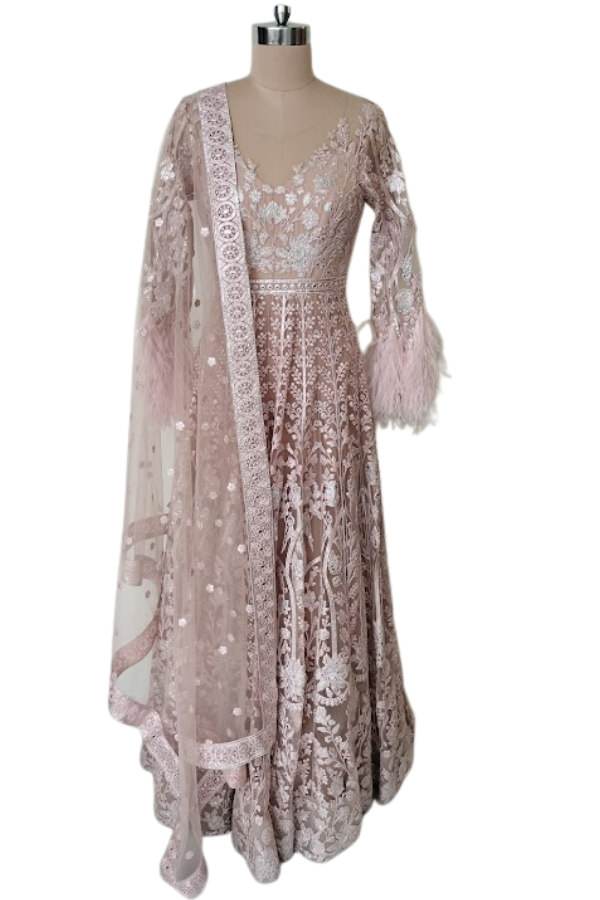 Falguni Shane Peacock Blush Pink Embroidered Gown Set