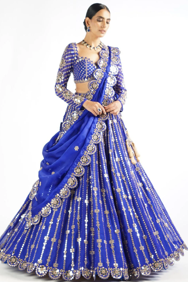 Vani Vats Royal Blue Small Flower Linear Lehenga Set