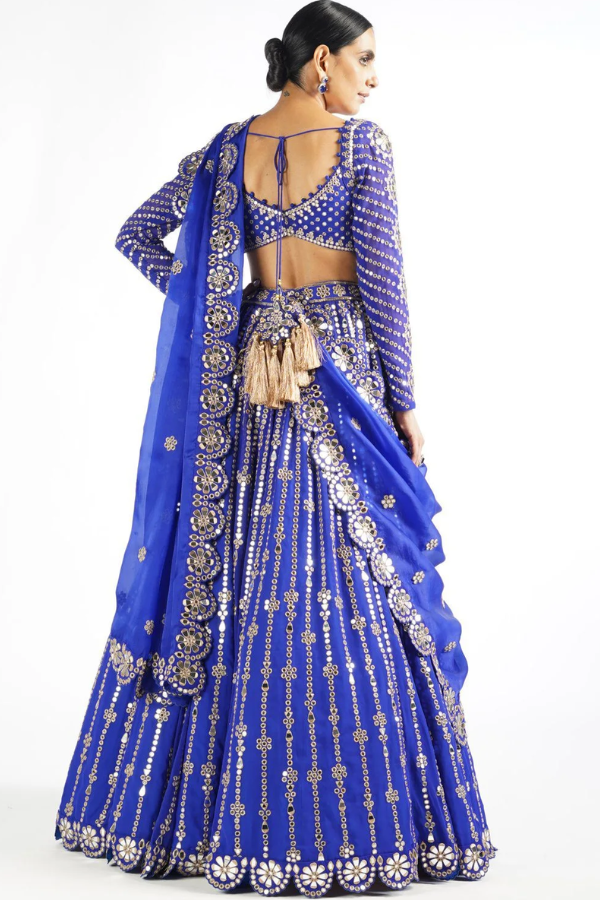 Vani Vats Royal Blue Small Flower Linear Lehenga Set