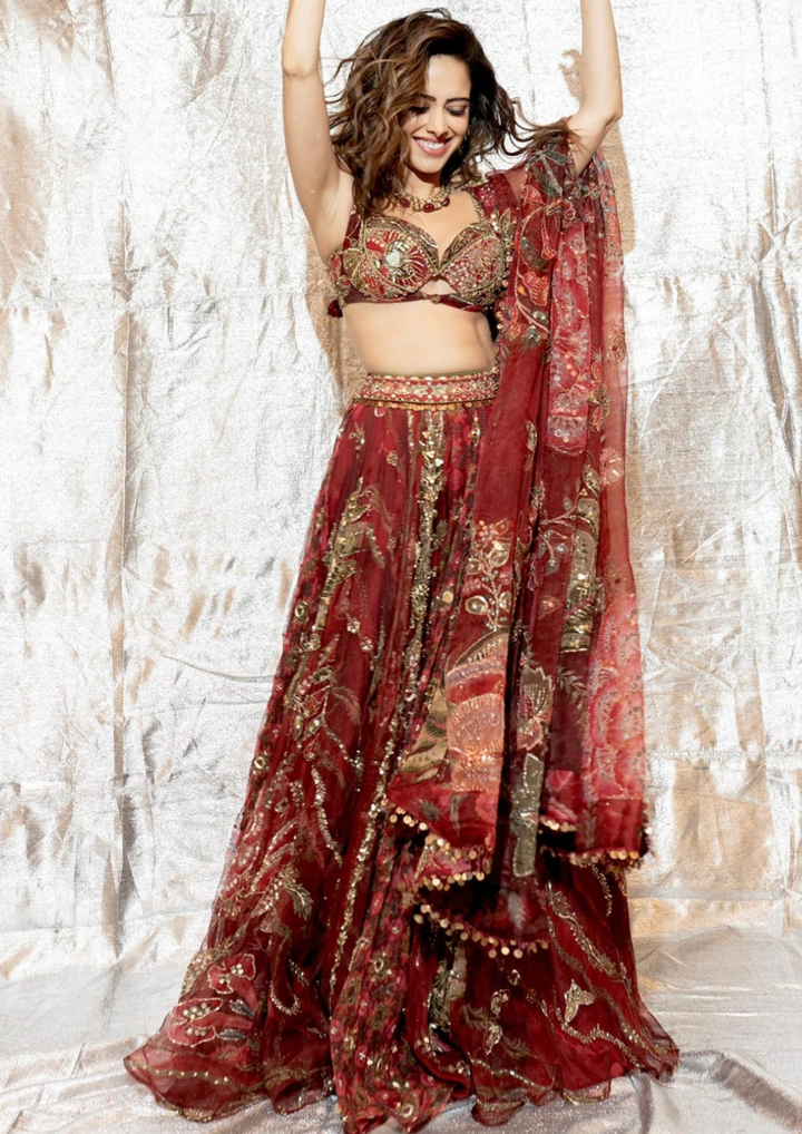 Mahima Mahajan Embroidered Wine Red Lehenga Set