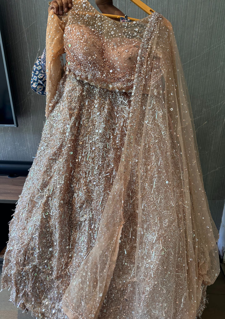 Seema Gujral Nude Embroidered Lehenga Set