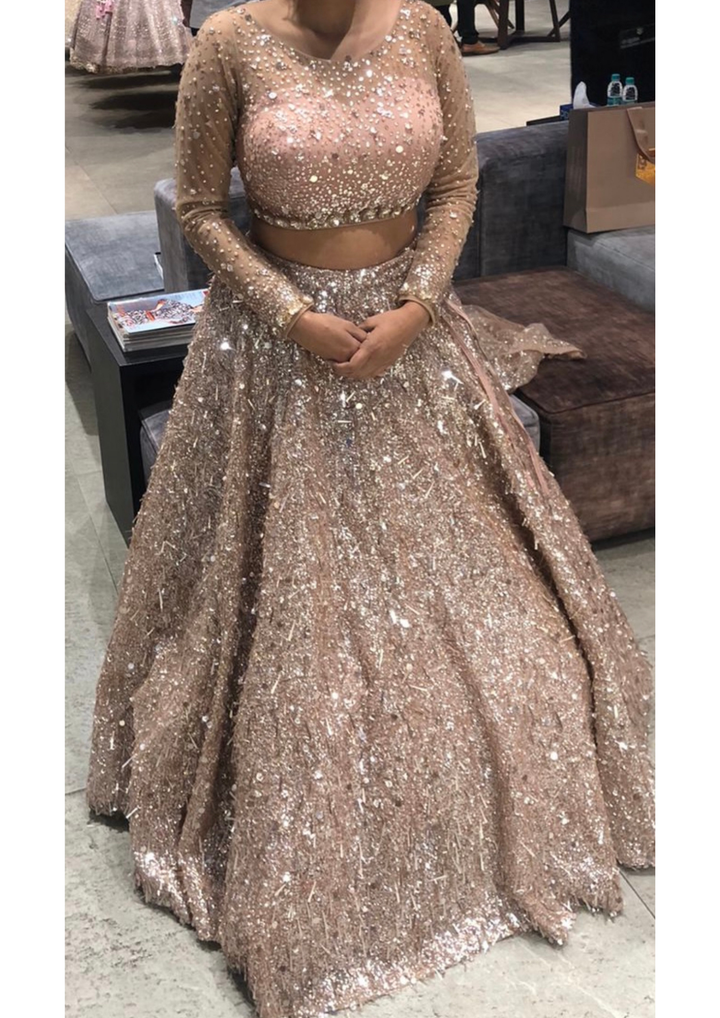 Seema Gujral Nude Embroidered Lehenga Set