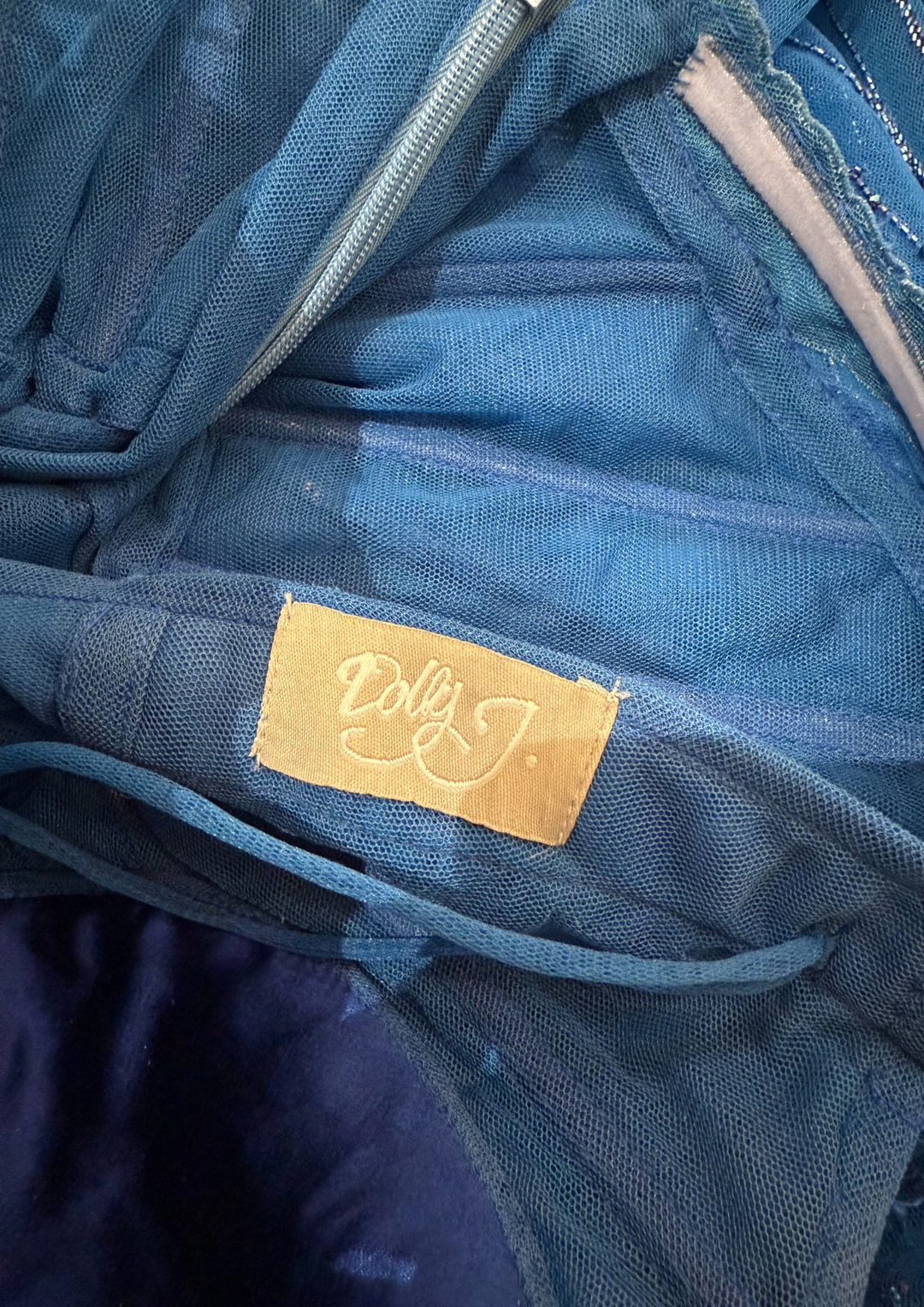 Dolly J Cobalt Blue Tulle Net Crystal Embroidered Gown