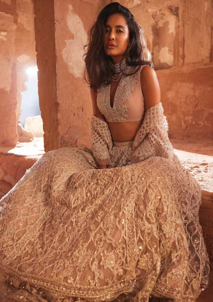 Ridhi Mehra Heer Cape And Lehenga Set