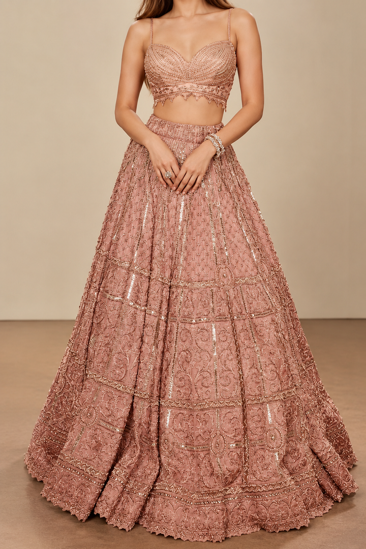 Payal Keyal Embellished Blush Pink Lehenga