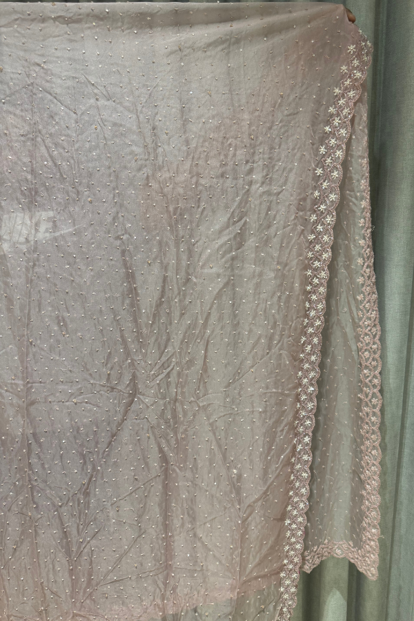 Surabhi Chopra Embellished Lehenga Set