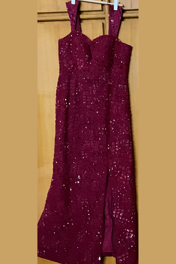 Mishru Red Embellished Dress