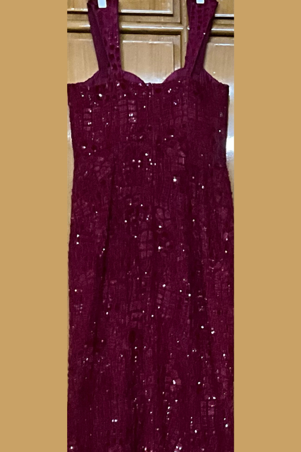 Mishru Red Embellished Dress
