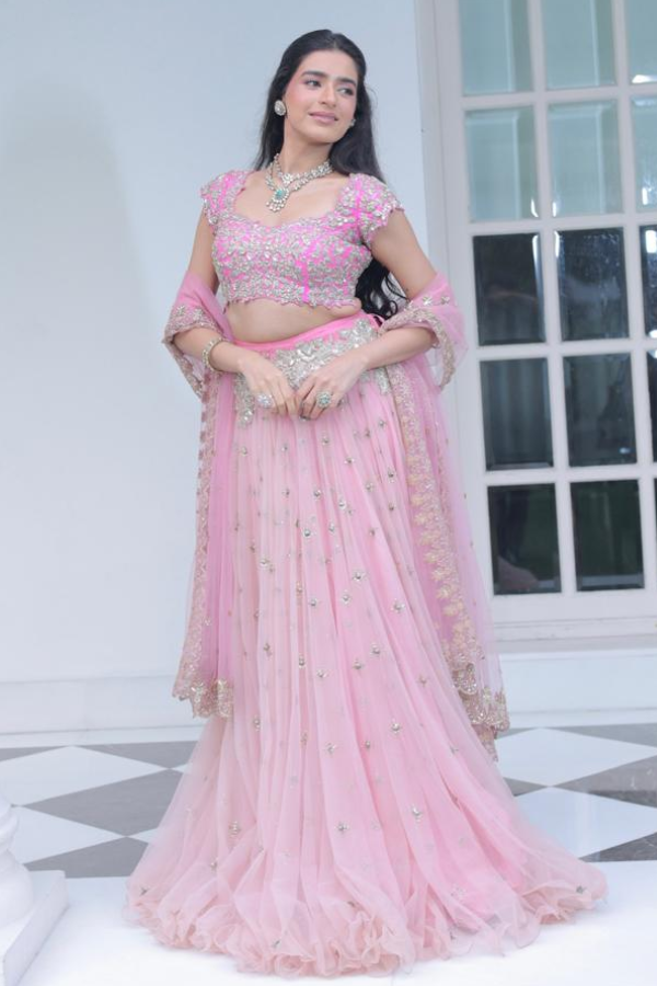 Pink embroidered lehenga set