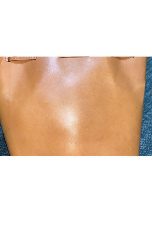 Mansur Gavriel Brown Leather Mini Bucket Bag