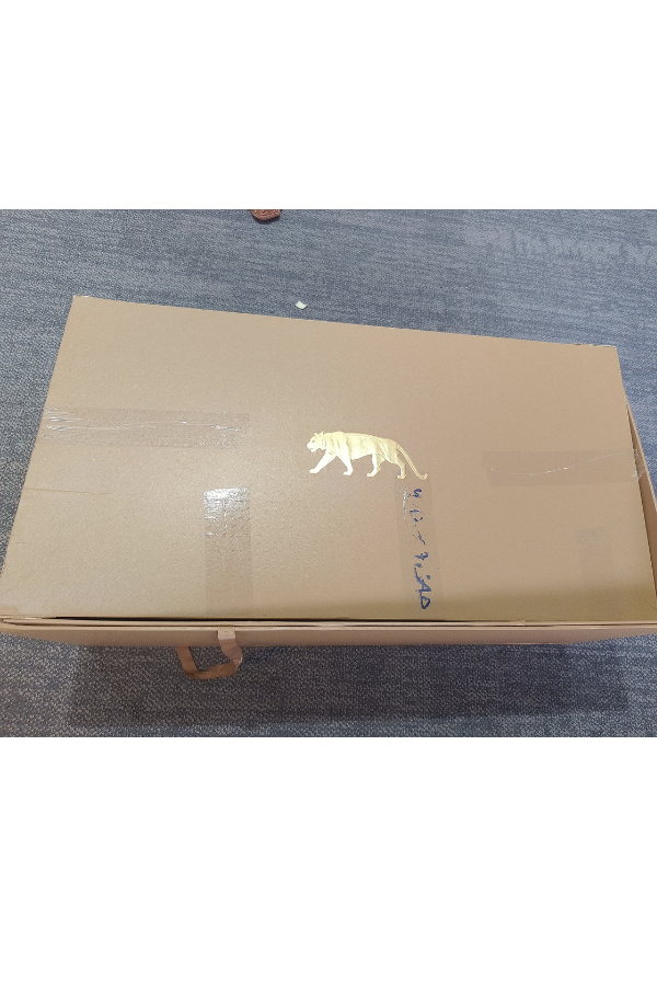 Sabyasachi Red Bridal Lehenga Set