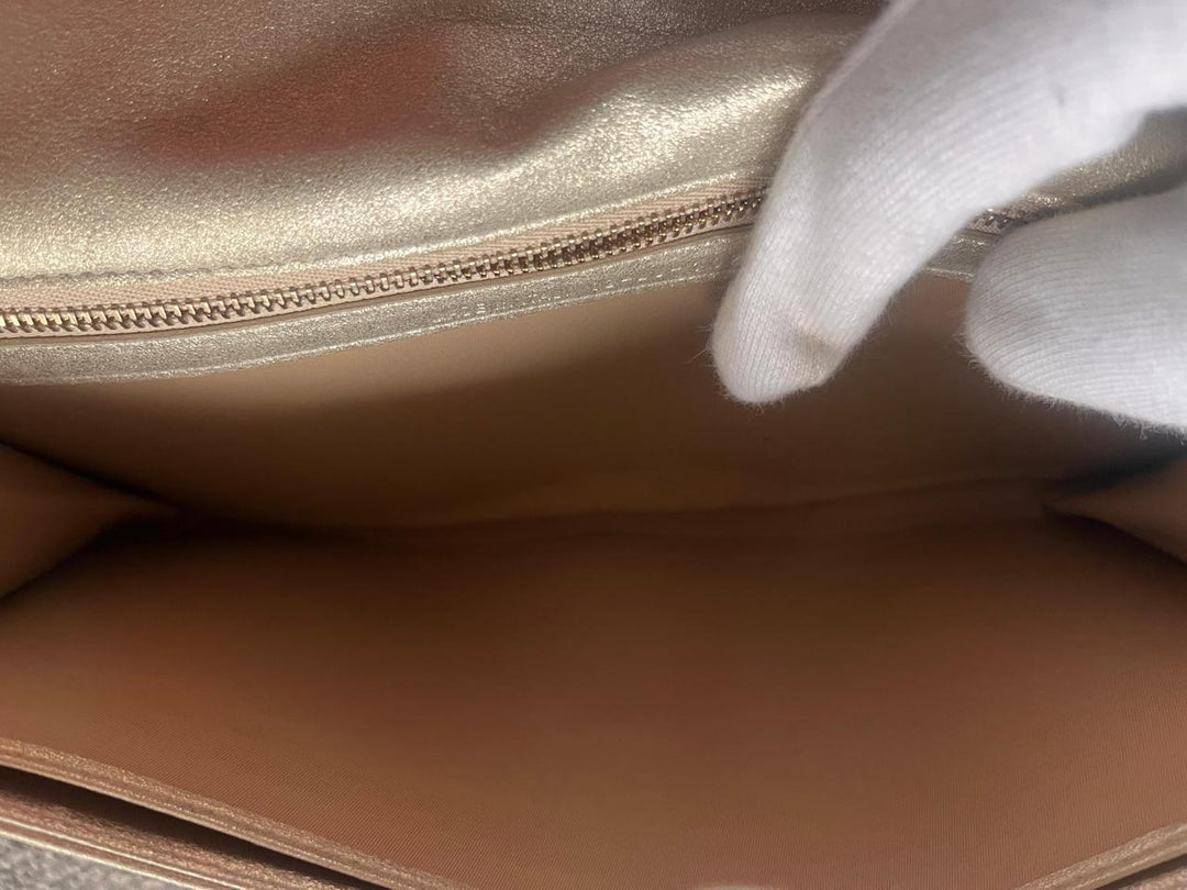Dior Metallic Leather Clutch/Wristlet