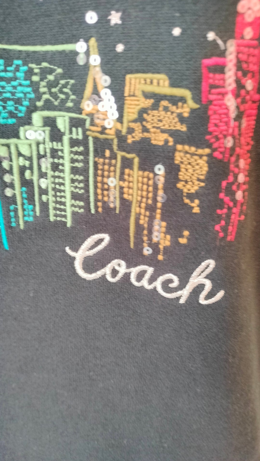 Coach New York Skyline Graphic Sweatshirt