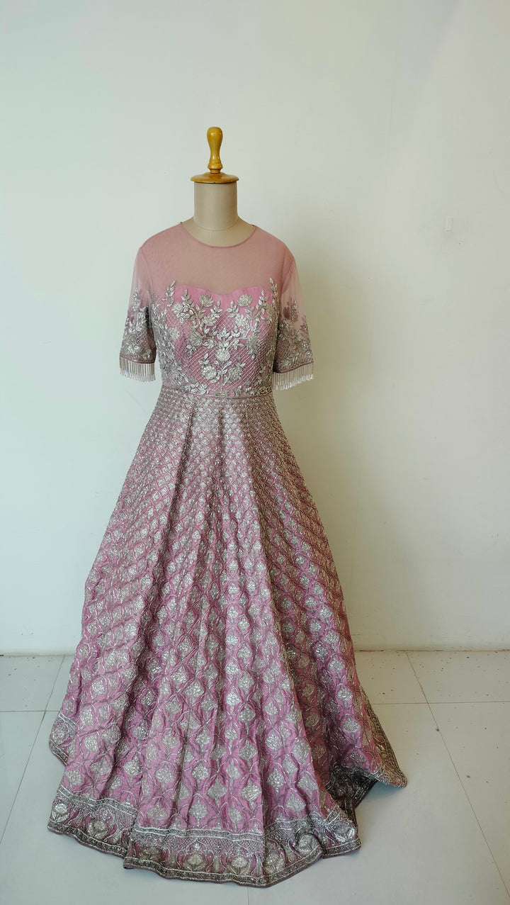 Payal Keyal Embellished Gown