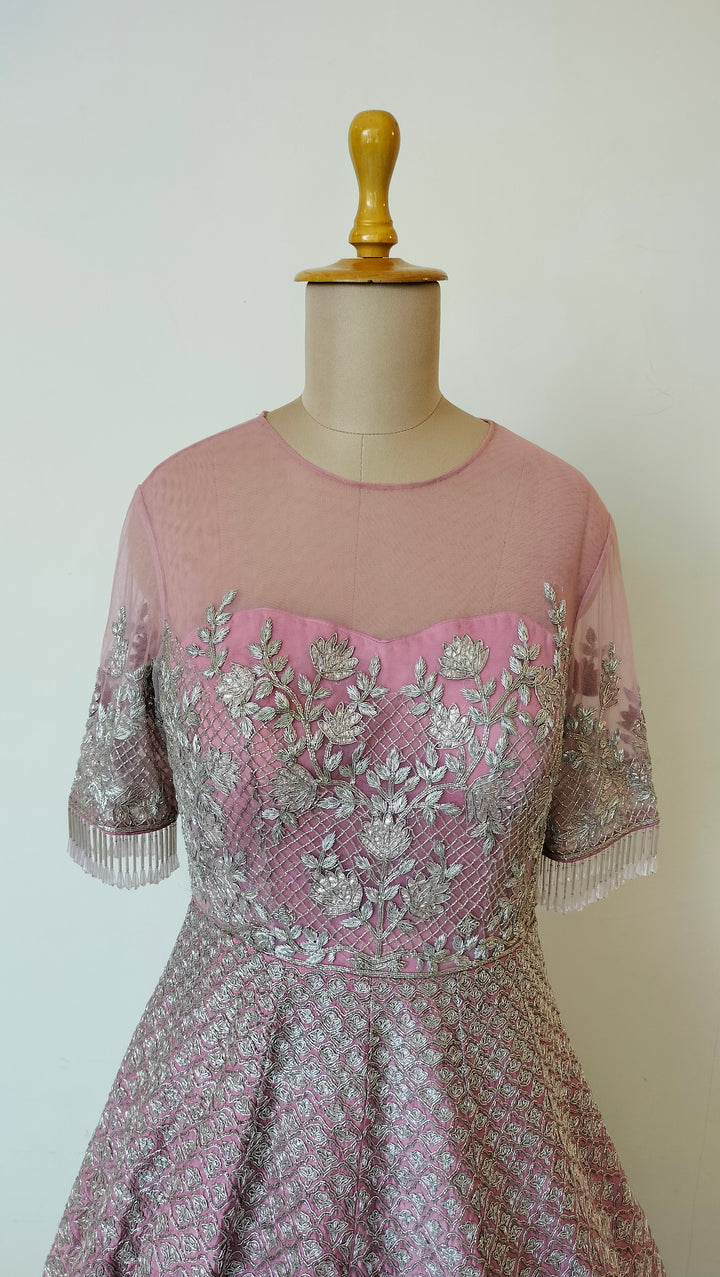 Payal Keyal Embellished Gown