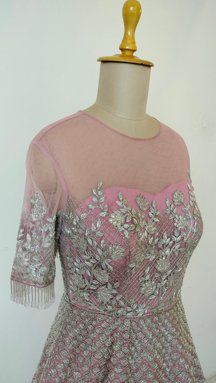 Payal Keyal Embellished Gown
