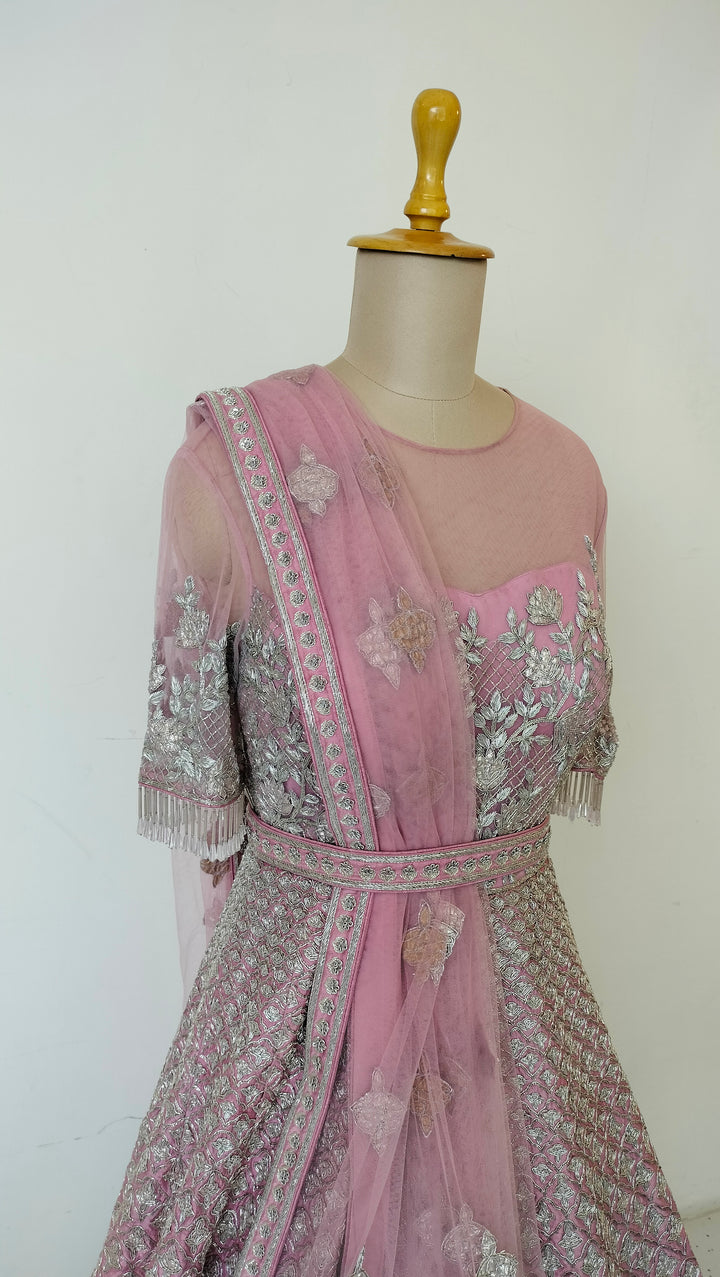 Payal Keyal Embellished Gown