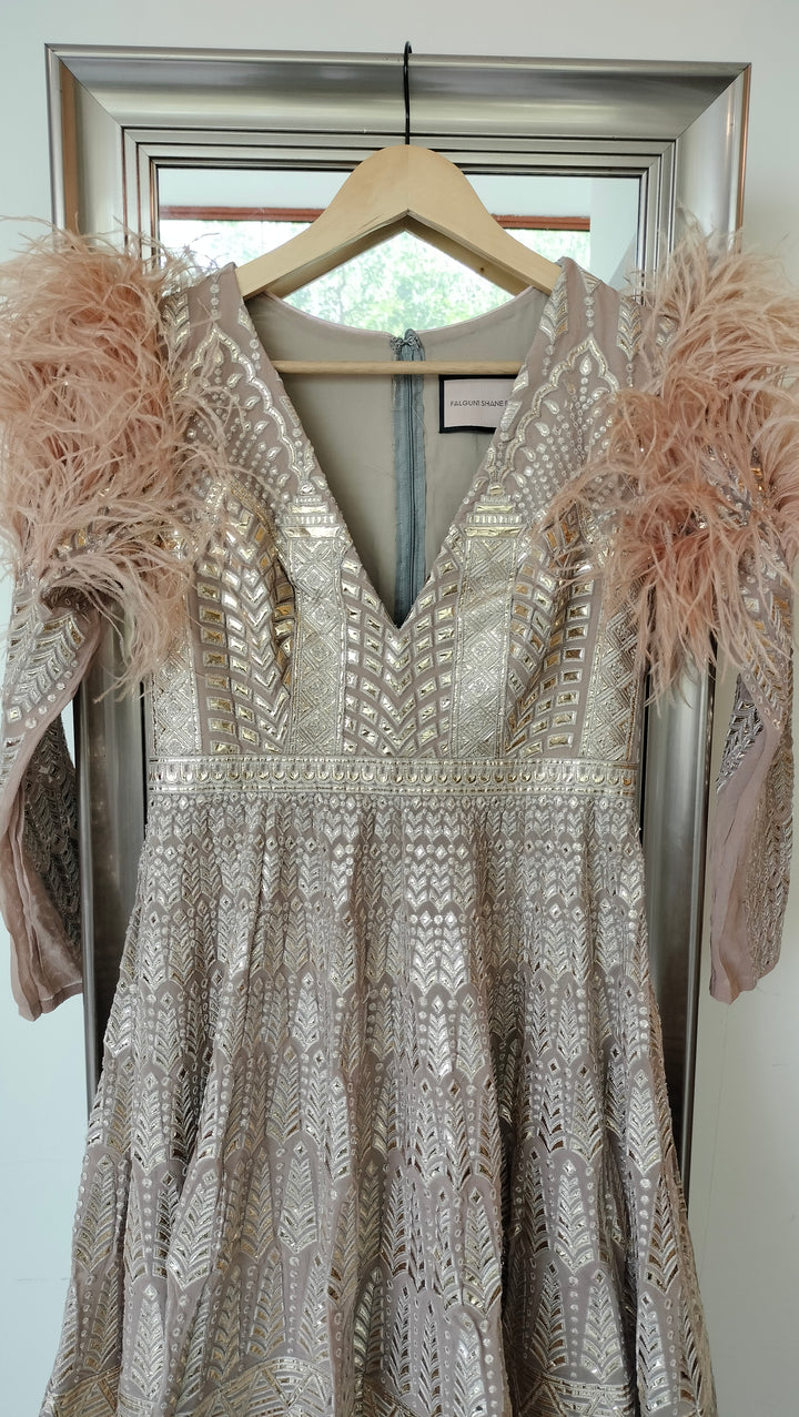 Falguni Shane Peacock gown