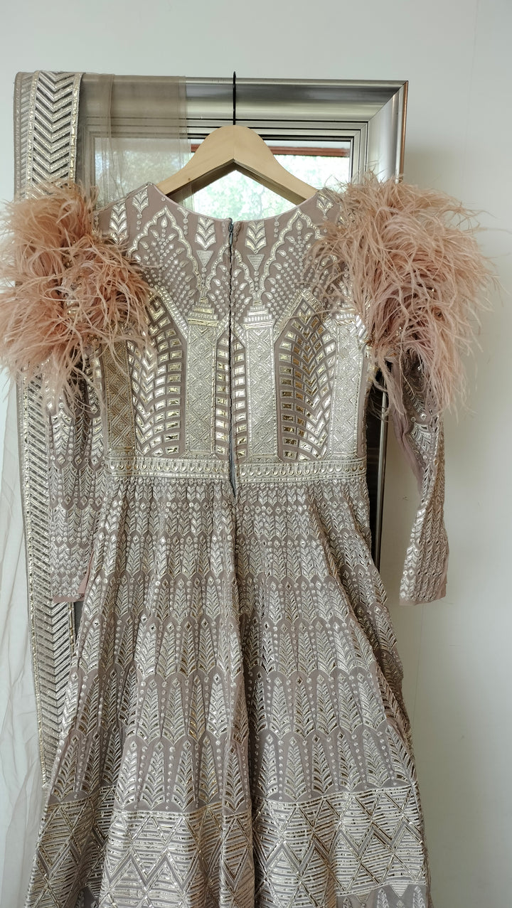 Falguni Shane Peacock gown