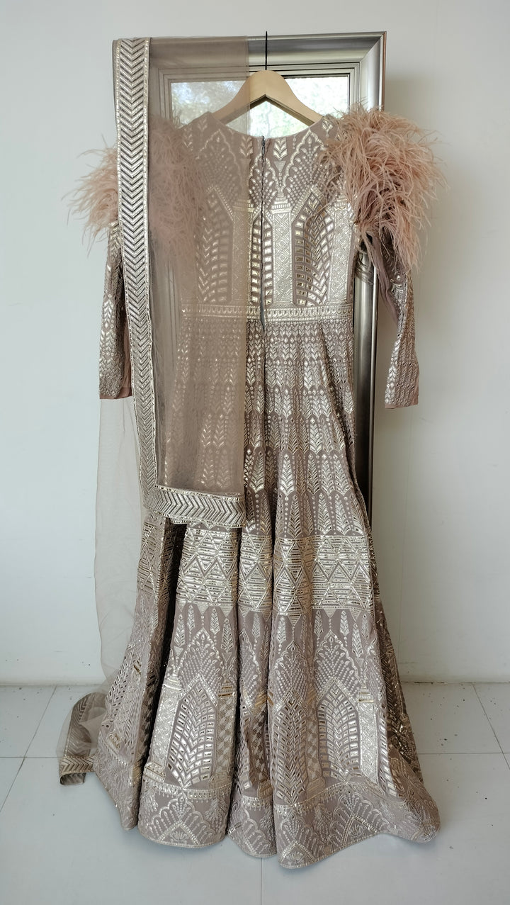 Falguni Shane Peacock gown