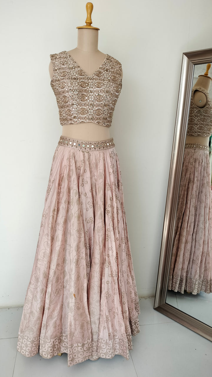 Punit Balana Embellished Lehenga Set
