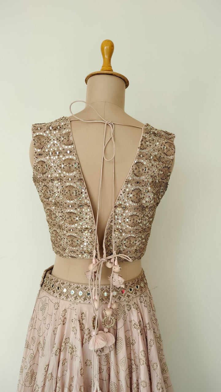 Punit Balana Embellished Lehenga Set