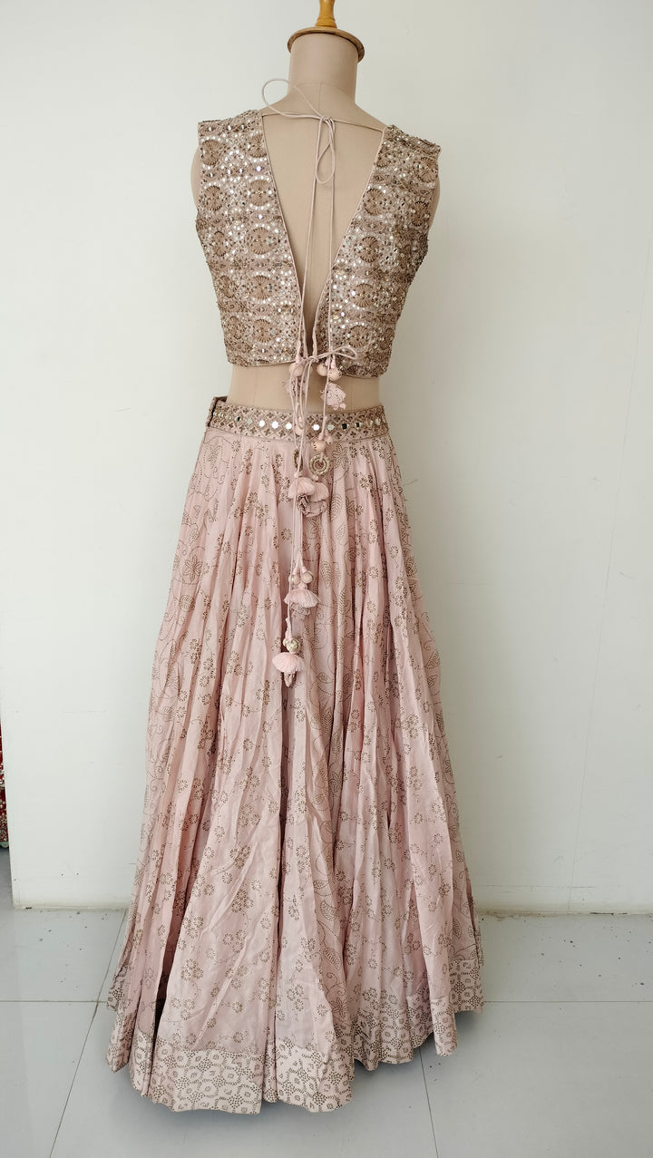 Punit Balana Embellished Lehenga Set
